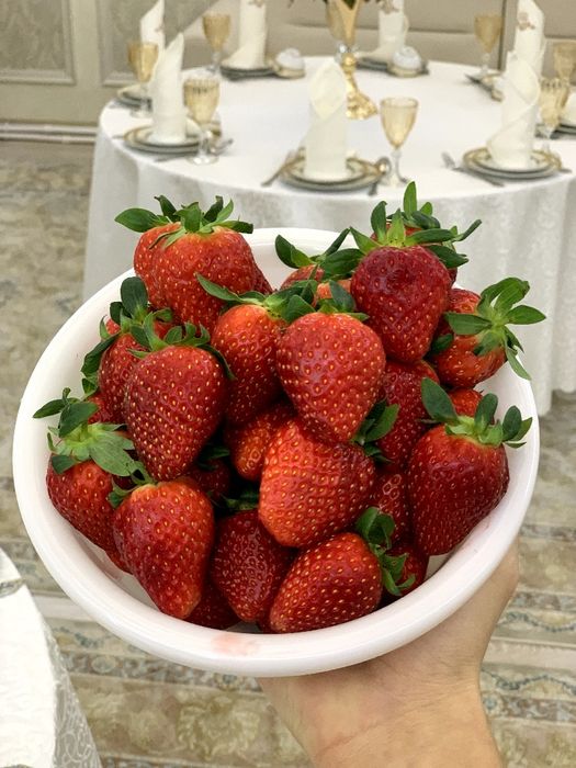 Кейтринг в Ташкенте, catering Toshkent, karving toshkent.