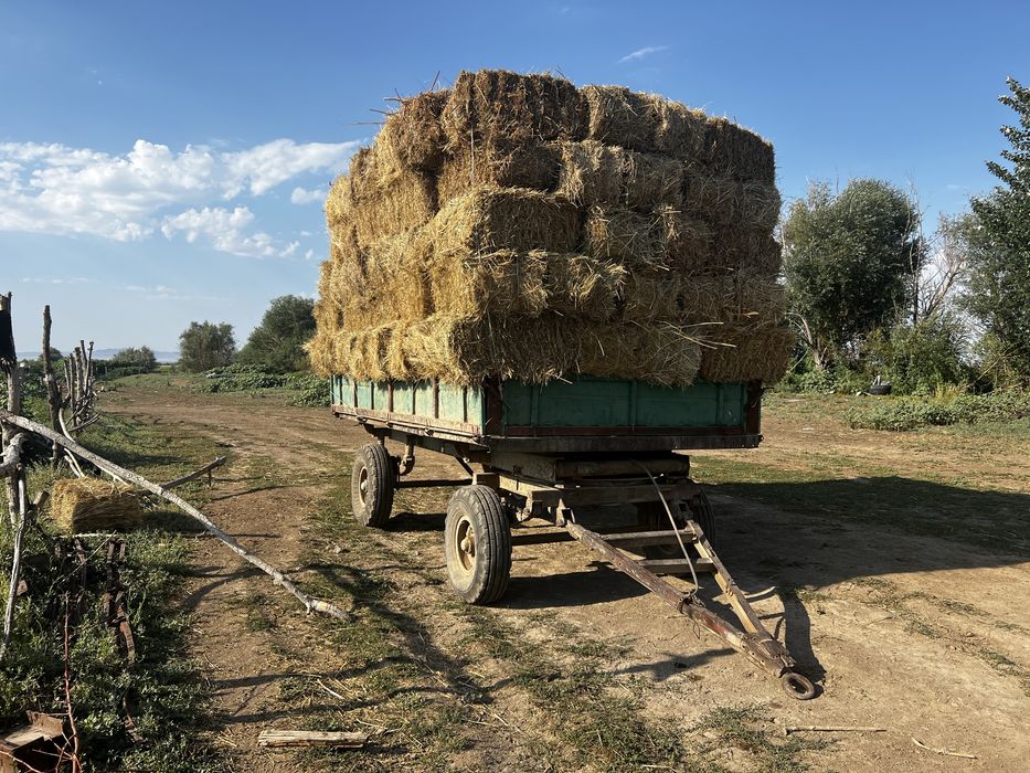 Продается Крестьянское хозяйство