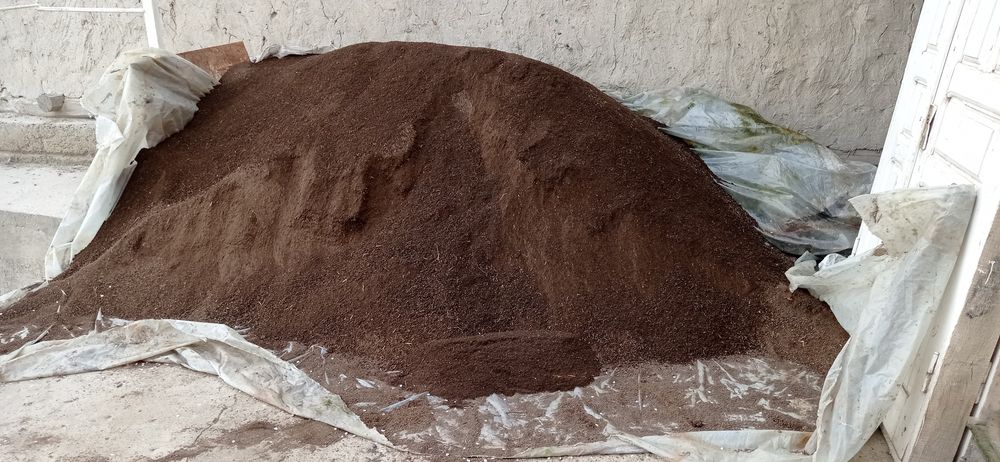 Biogomis sotiladi ( 1-сорт ) elankdan õtkarilgan. Sifatli maxsulot.