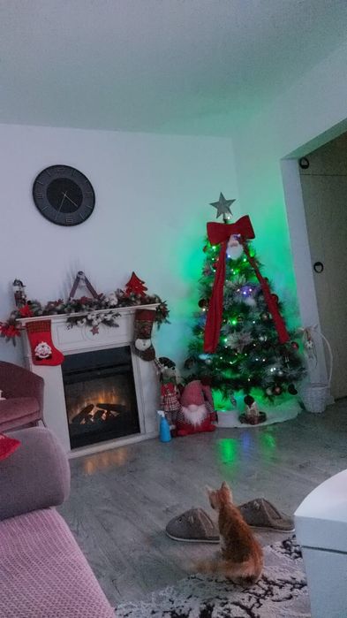 Semineu electric 3D