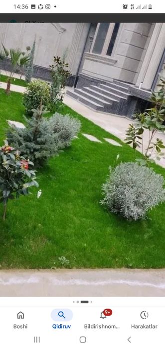 Dekarativniy daraxt va gullar ekib berish xizmati ko'rsatiladi.