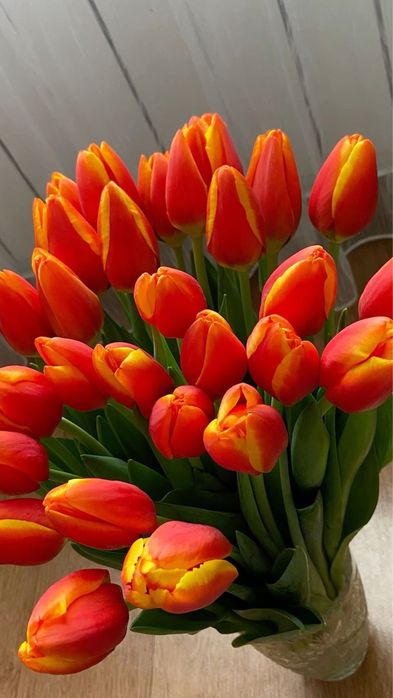 тюльпаны букеты