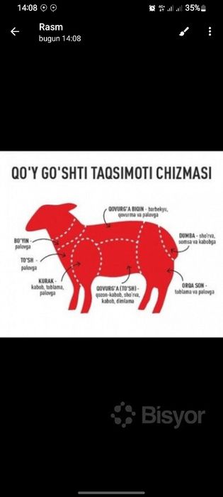 Qassob xizmati Toshkent shahri uchun.Faqat qo'y (qo'chqor) so'yamiz.