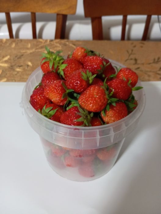 Продам клубнику домашняя