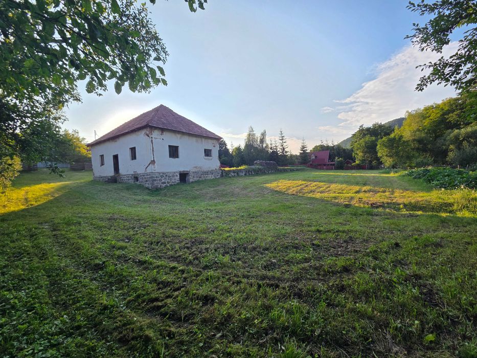 Teren intravilan 2.800 m² cu clădire, curent trifazic și pârâu – Ghipeș (25 min de Odorhei)