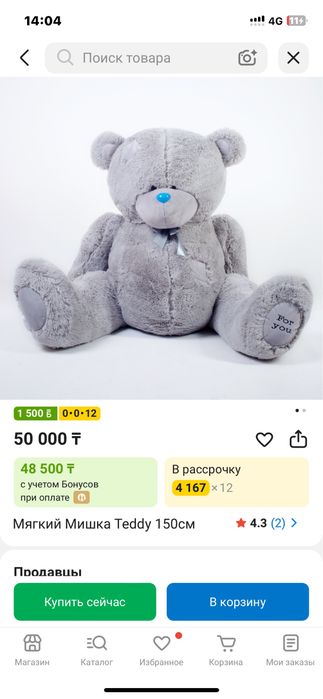 Мишка тедии новые