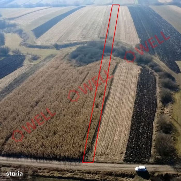 Teren extravilan de vânzare în Dobolii de Jos!