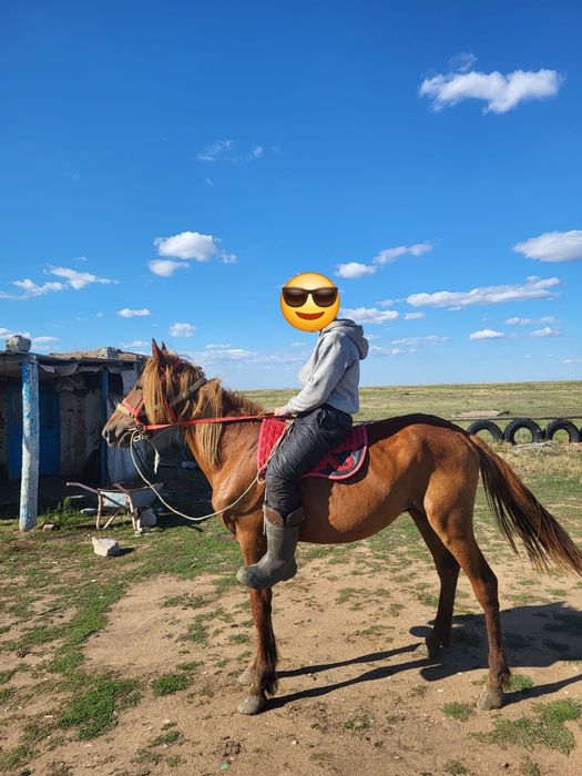 Кунан еки жасарр