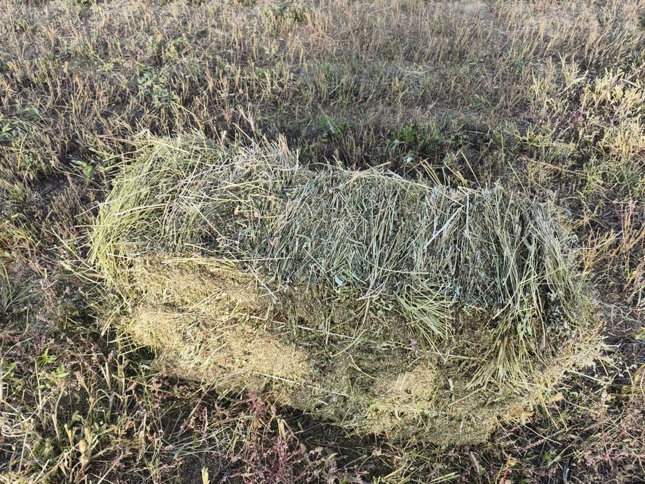 Продам разнотравие в тюках