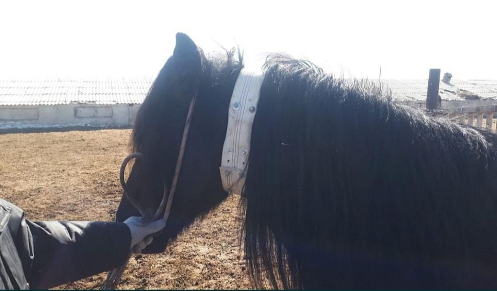 Gps трекердің 1 түрі моделі бар