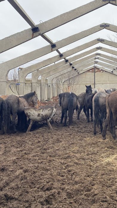 Продам Базу для откорм