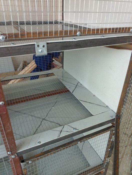 Килеткалар куёонлар учун