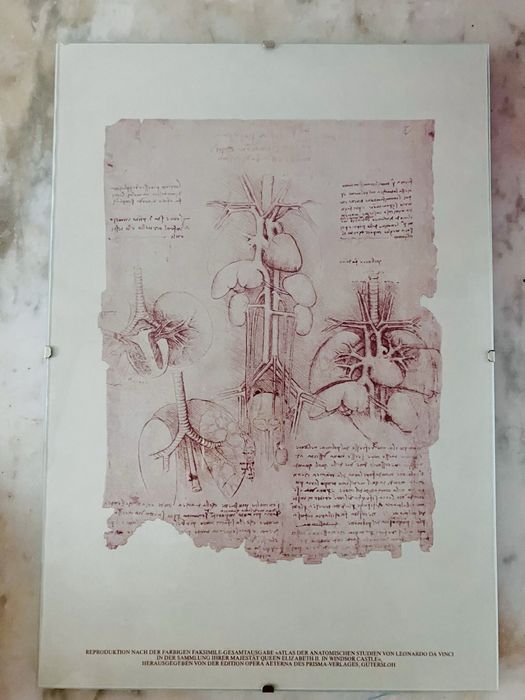 Litografie studiu anatomia inimii Leonardo da Vinci
