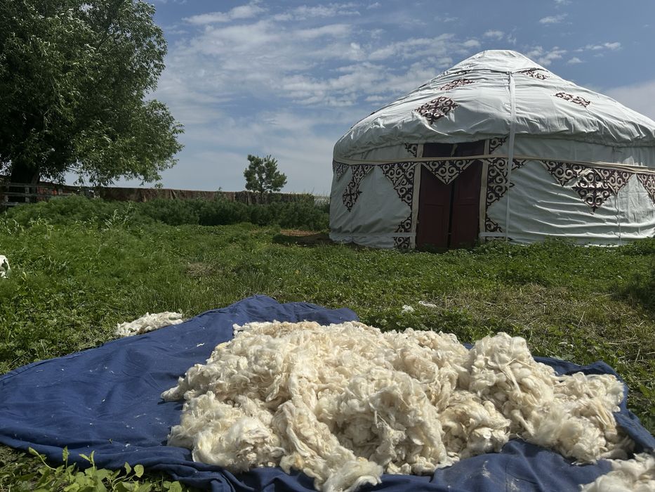 Продам юрту настоящую из дерева 6 канат