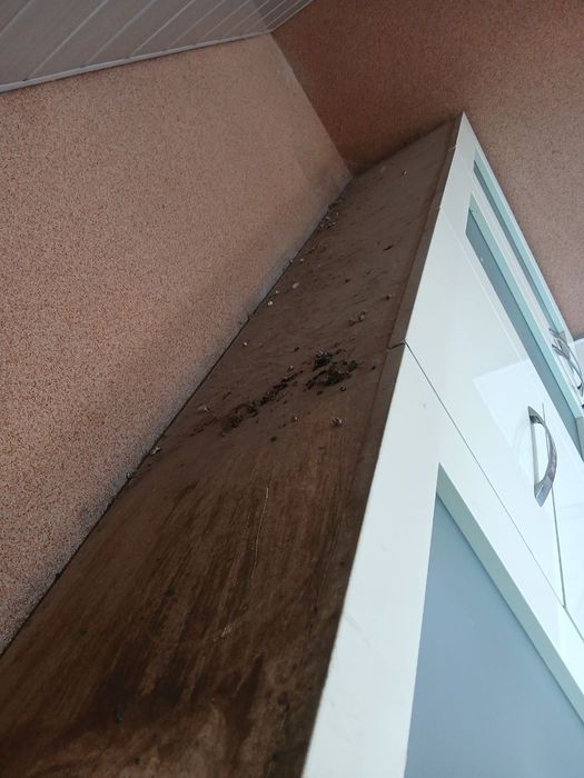 Тозалаш хизмати...  Услуга уборки... Cleaening services