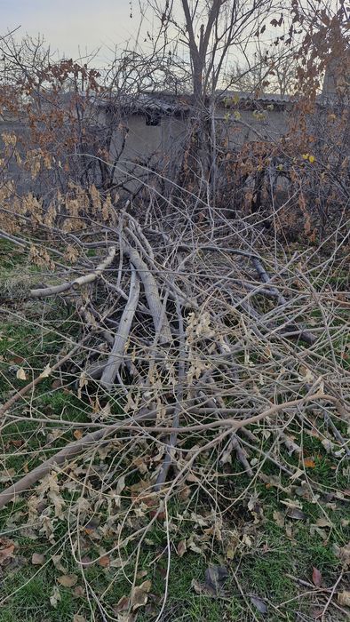 Свои огород дрова