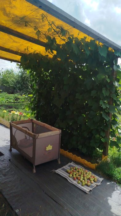 Продам дачу-Пригородное 4сотки