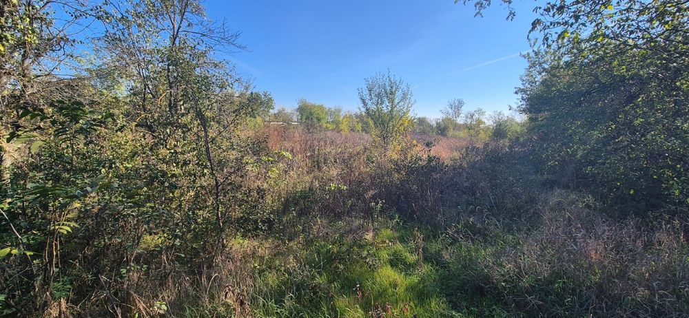 Vand Teren intravilan Finta Mica (Veche)