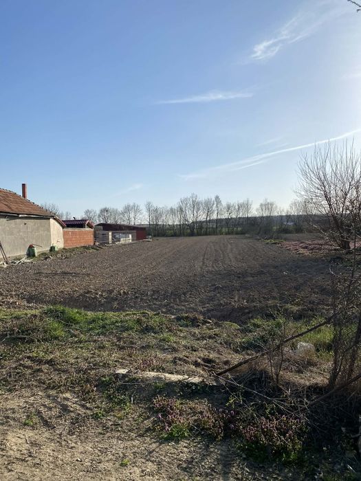 Teren de vânzare în Cociuba Mare