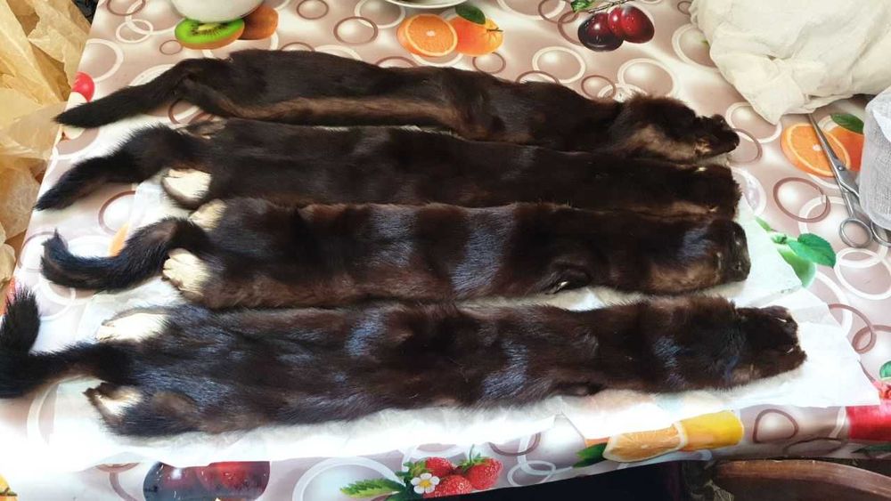 Шапка из песца и соболя. И шкурки соболя.