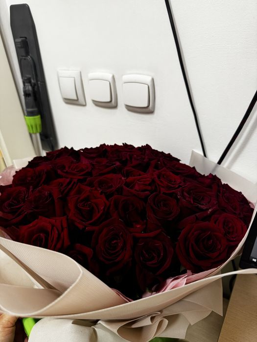 51 роза темно бордовые