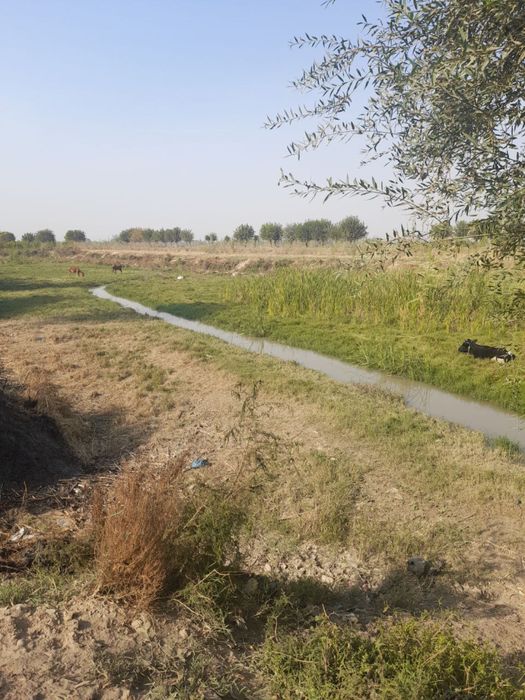 «Учаска сотилади.баликчилик хам килишга жой бор»…………………….