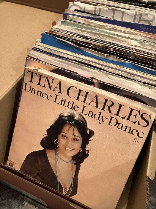 Над 300 грамофонни плочи, сингли