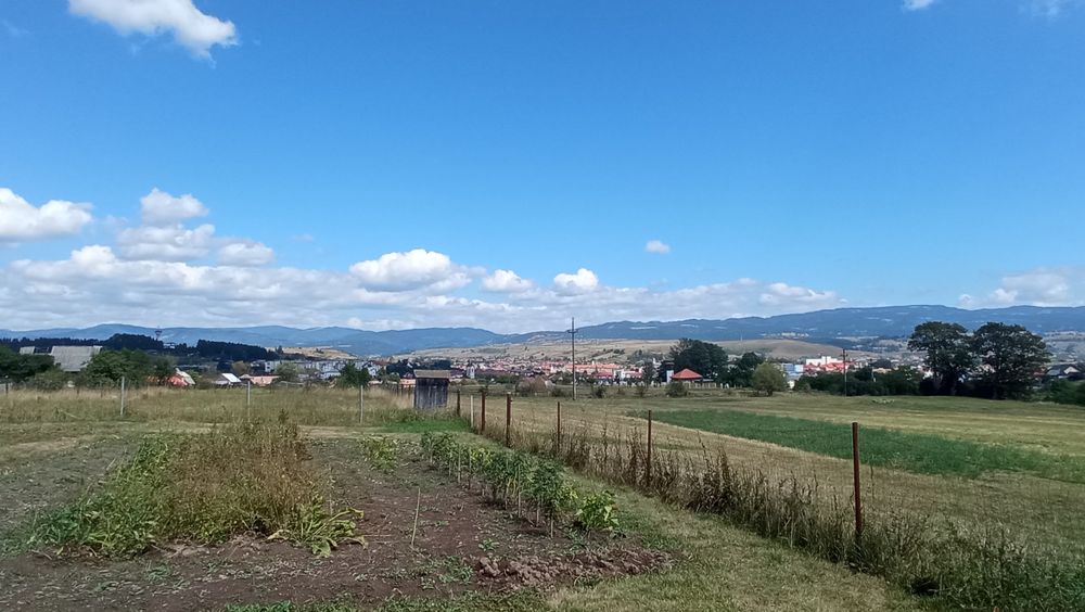 Casa de vanzare zona panoramica Toplița  Imobiliare