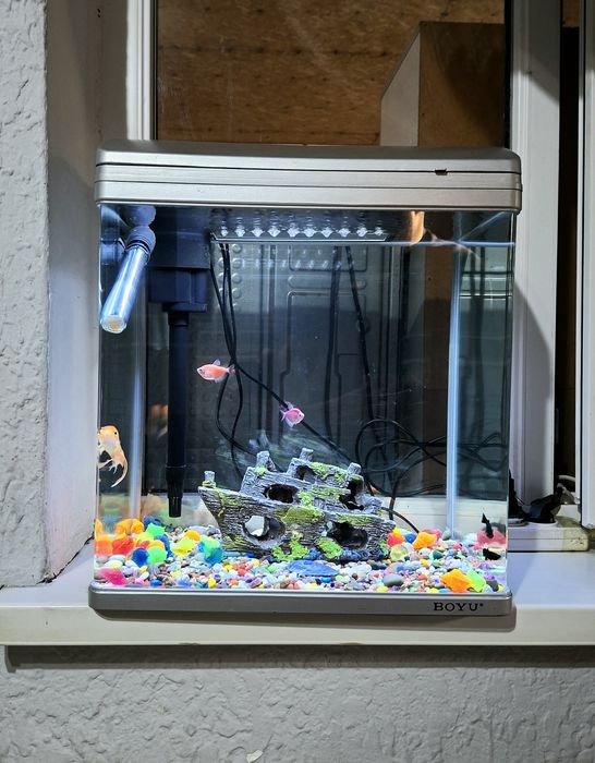 Аквариум заводской