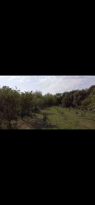 Vând casa si teren - Corbii Mari