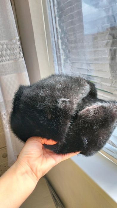 Ушанка  кара тусти