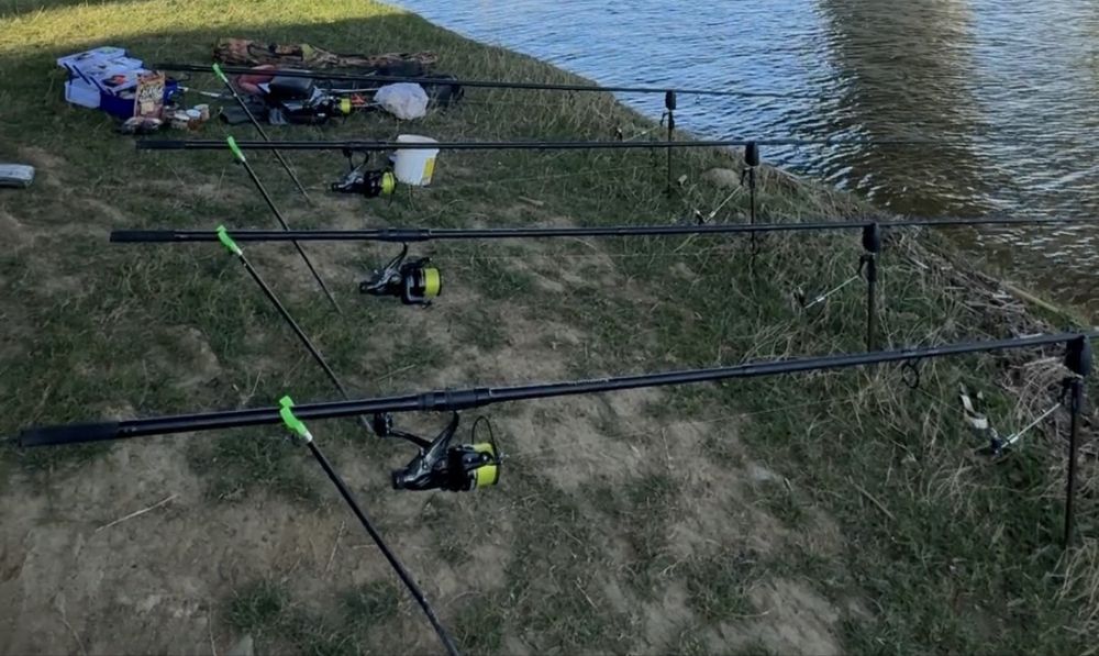 Vand set de 4 Lansete /  Bete Komodo 3,9 Crap 3,5LBS cu milimete