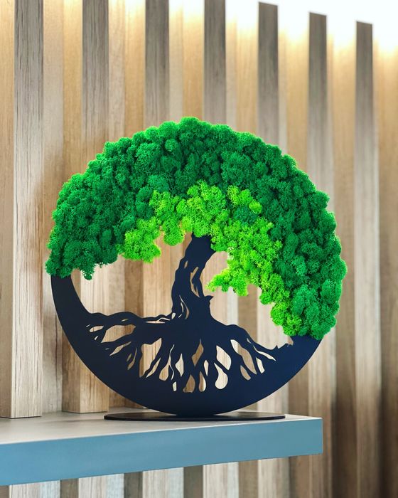 Decoratiuni din licheni, brad de Craciun, bonsai, tablouri, etc