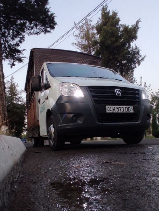 Дафн Жаноза маросим Janoza