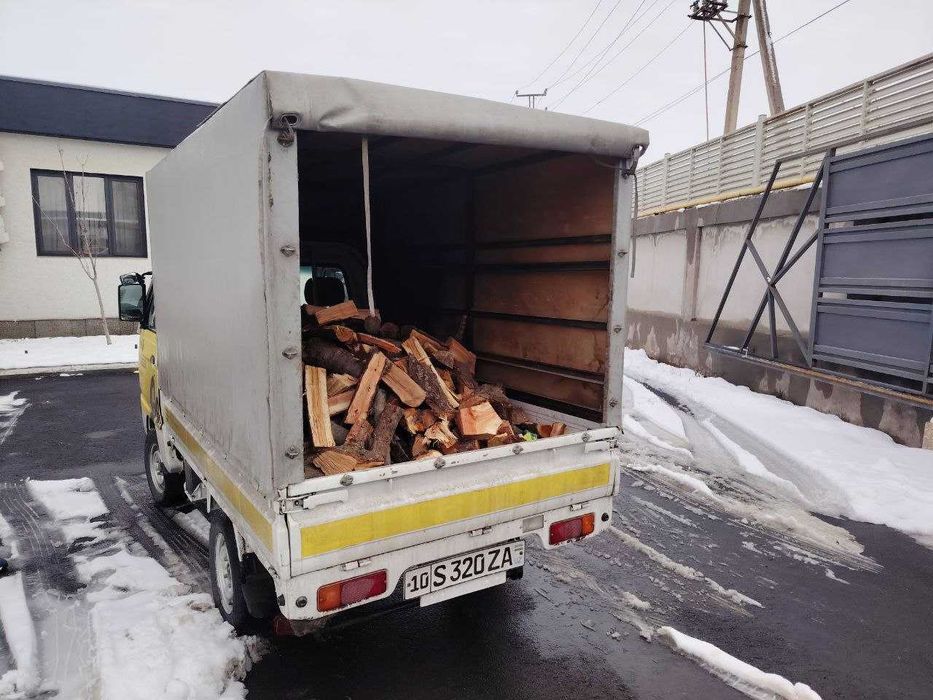 Ótin Драва mevali daraht