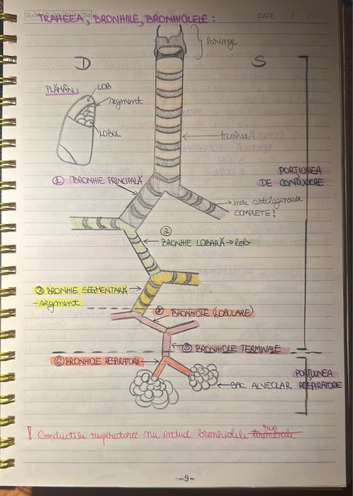 Notițe pentru admiterea la Medicină, chimie biologie barrons