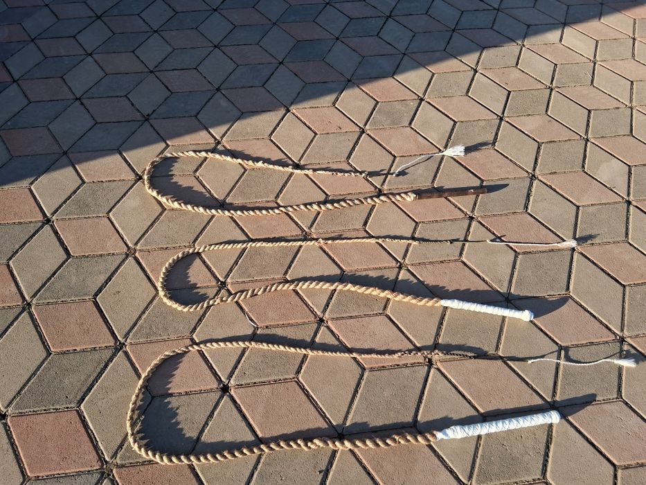 Bici, bull whip de vanzare