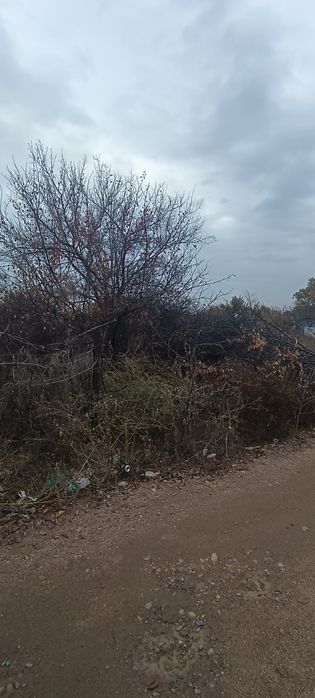 Продам дачу 9 соток