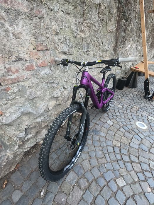 Transition Sentinel Carbon Deep Purple 2025 L