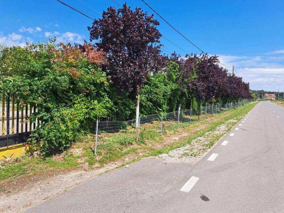 De vânzare hală 4.000 mp cu 18.500 mp teren