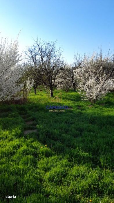 Teren de vanzare in Tamadau Mare, jud. Calarasi – Strada Principala