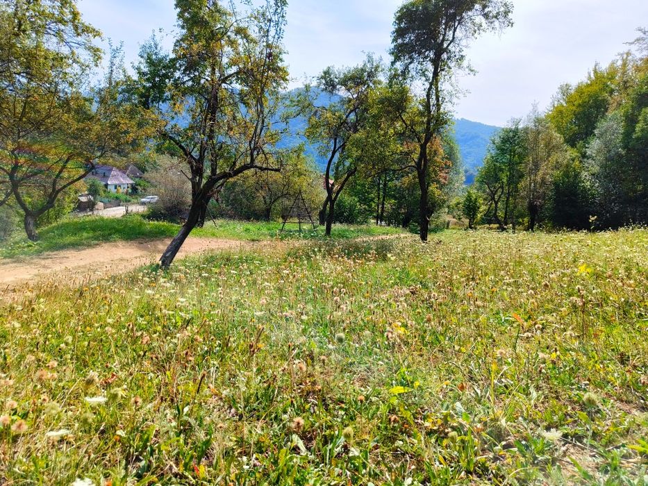 Teren 3.800 mp - Slatina, Nucsoara