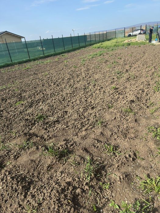 Lucrări cu motocultorul