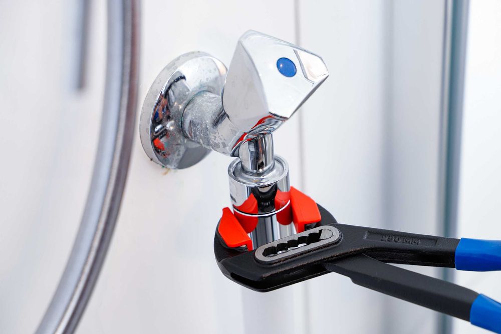 Клещи гарга водопроводни 240 мм, с предп. за челюстите; BGS Германия