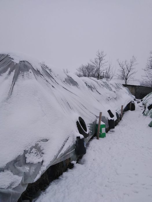 Vand baloti lucerna -Blandesti