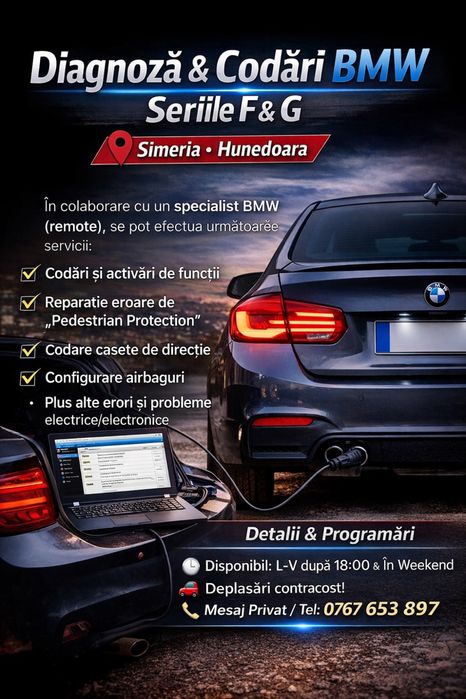 Diagnoza & Codari BMW F si G