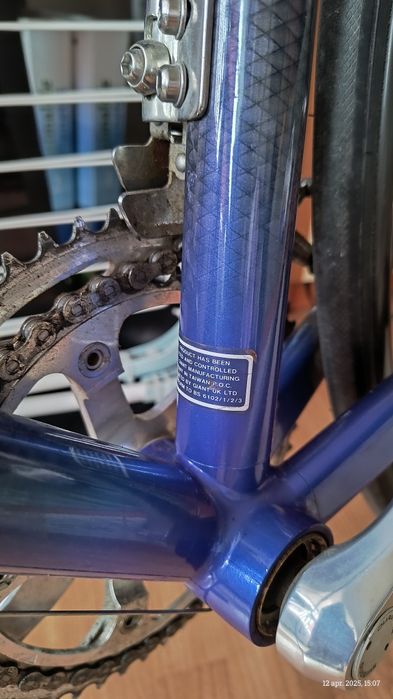 Cursiera Giant carbon