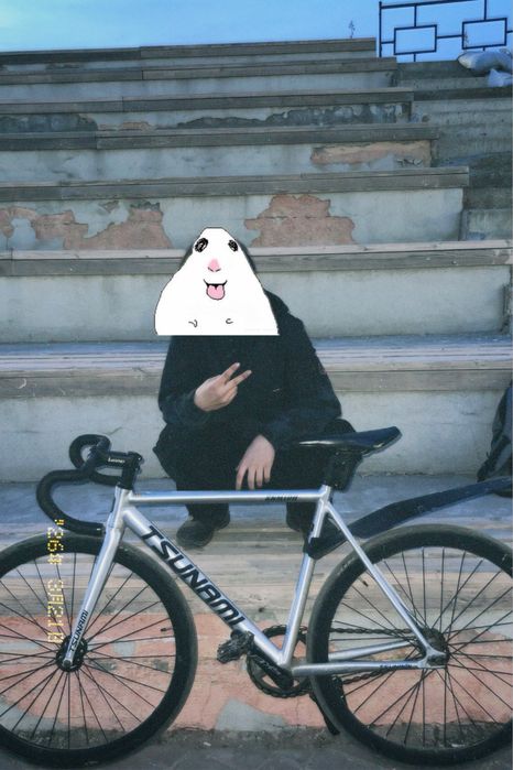 Tsunami snm 100 фикс