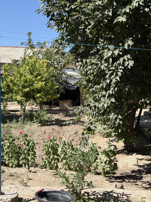 navoi citydan hovli