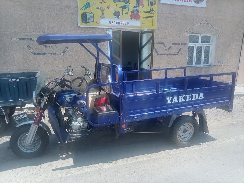 Муравей яакеда матор
